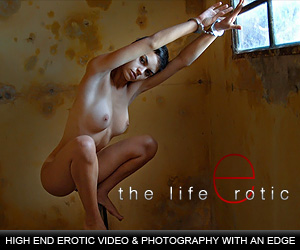The Life Erotic